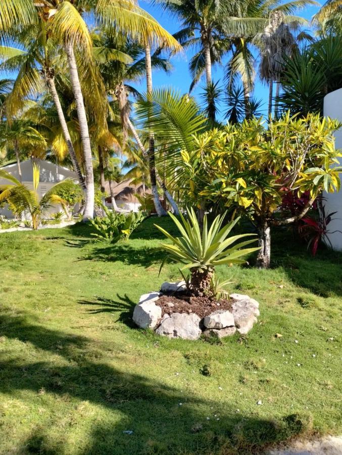 Alito Tulum Hotel Eksteriør billede