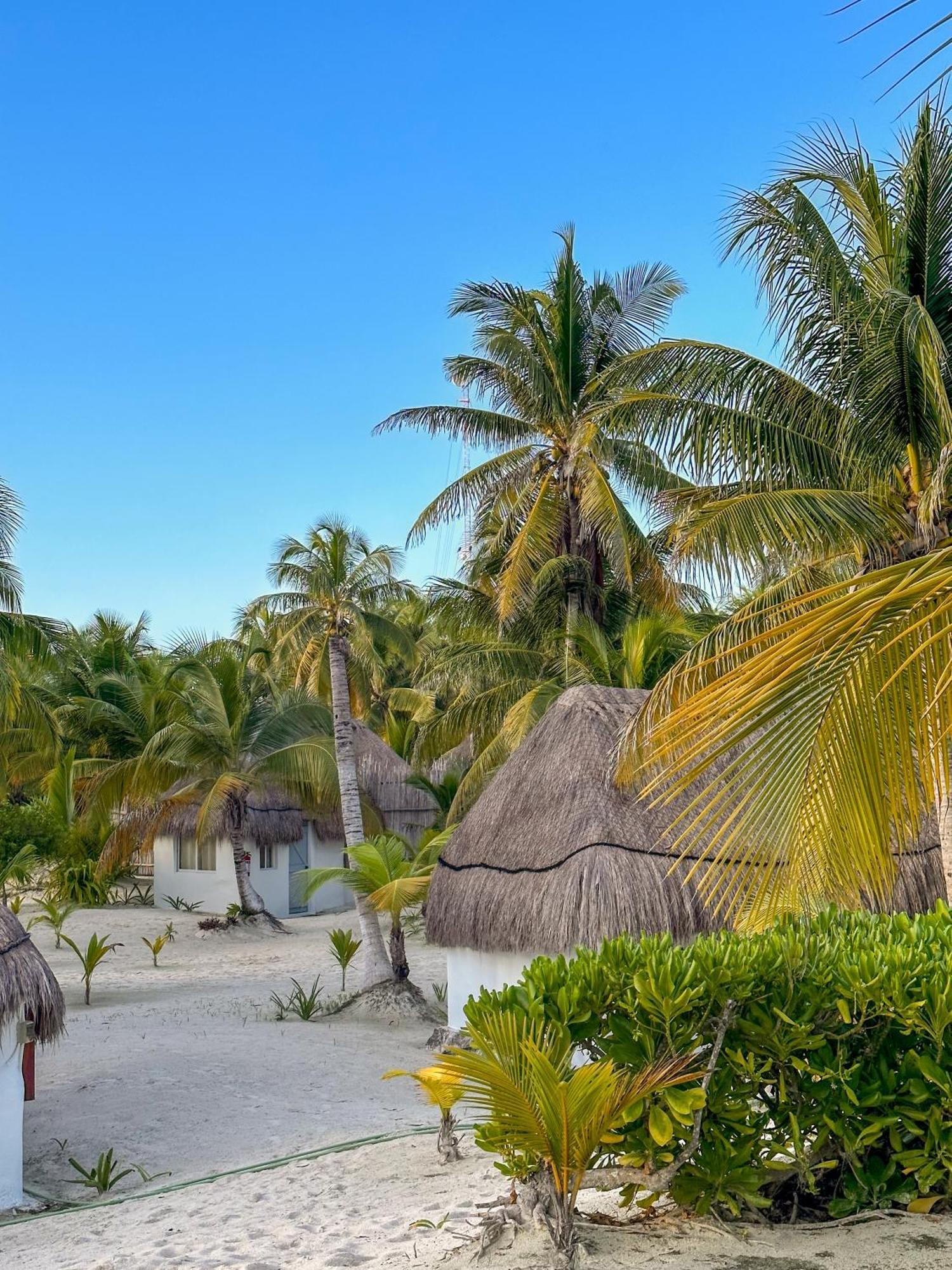Alito Tulum Hotel Eksteriør billede