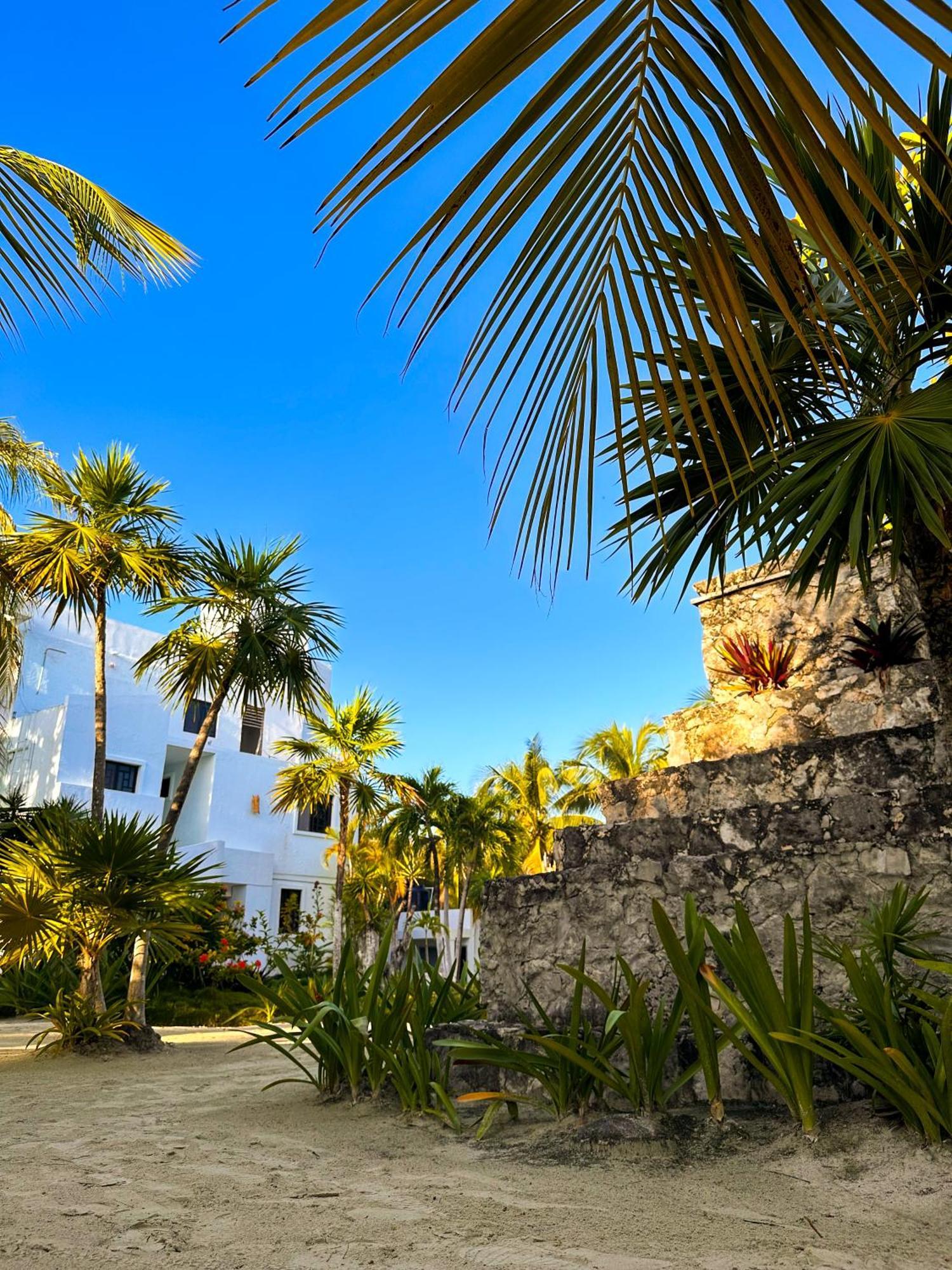 Alito Tulum Hotel Eksteriør billede